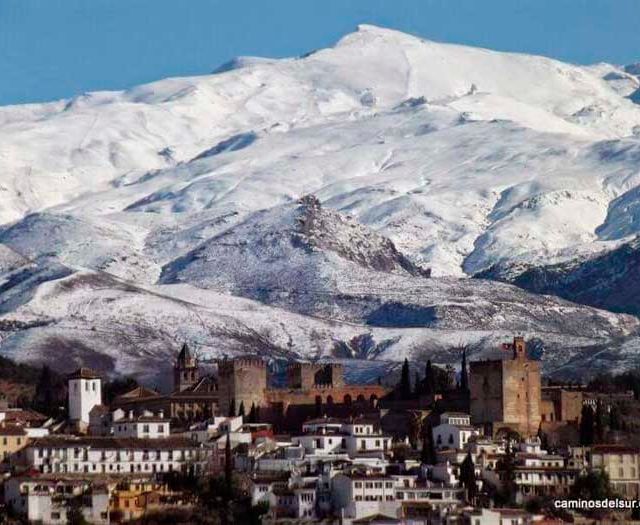 Academia Carfax ciudad y montaña